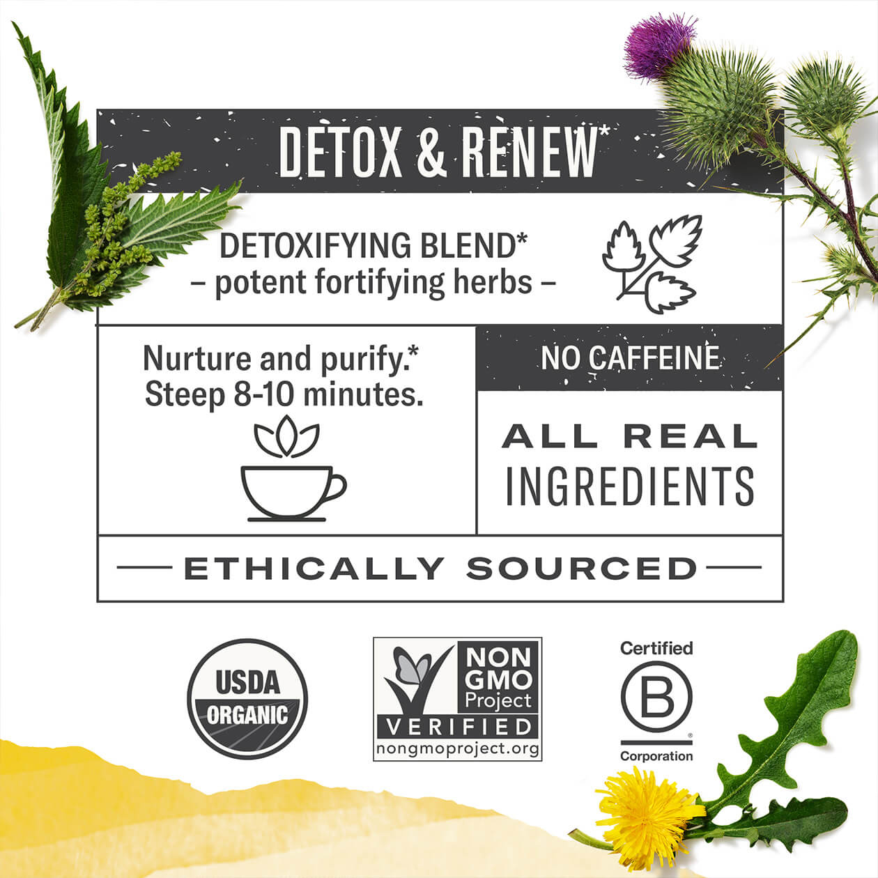 Infographic about Dandelion Detox: steep 8-10 minutes, caffeine free, all real ingredients, ethically sourced