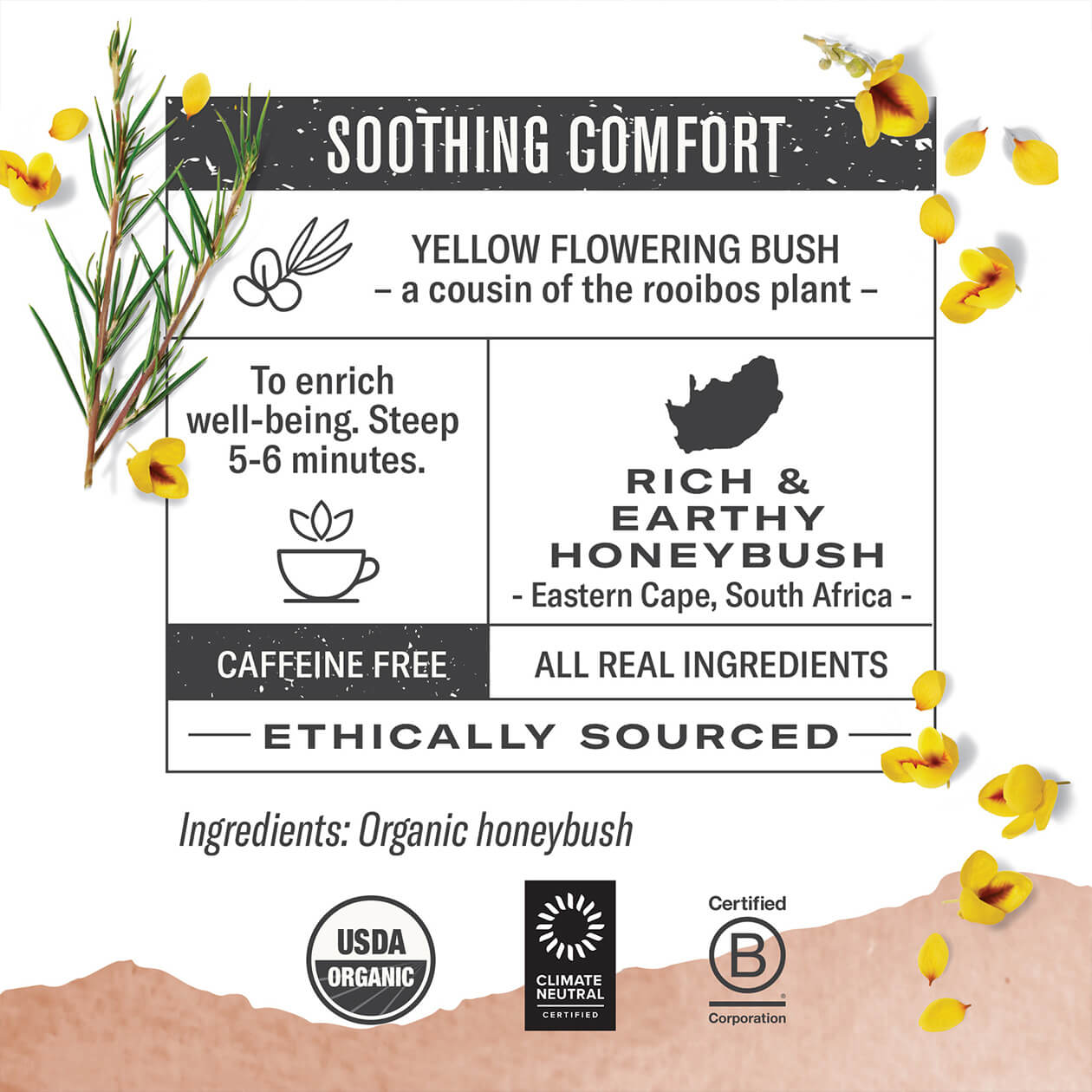 Infographic about Honeybush: steep 5-6 minutes, origin: Eastern Cape South Africa, caffeine free, all real ingredients, ethically sourced