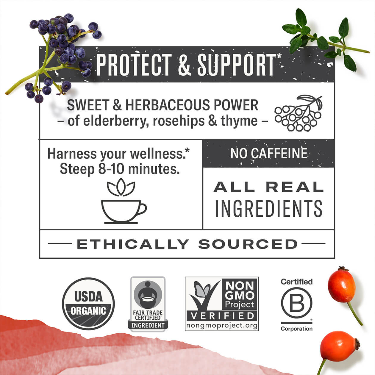 Infographic about Immune Support: steep 8-10 minutes, caffeine free, all real ingredients, ethically sourced