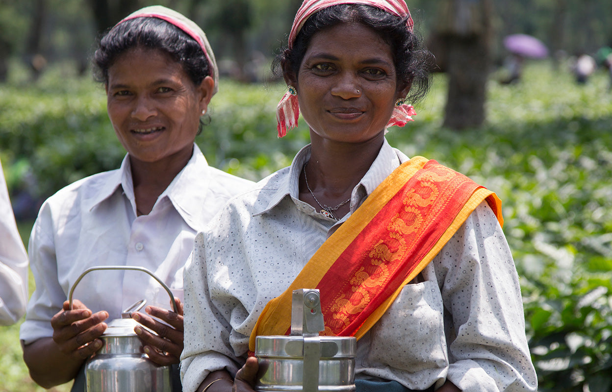 pure-tea-india-tea-workers-safety.jpg