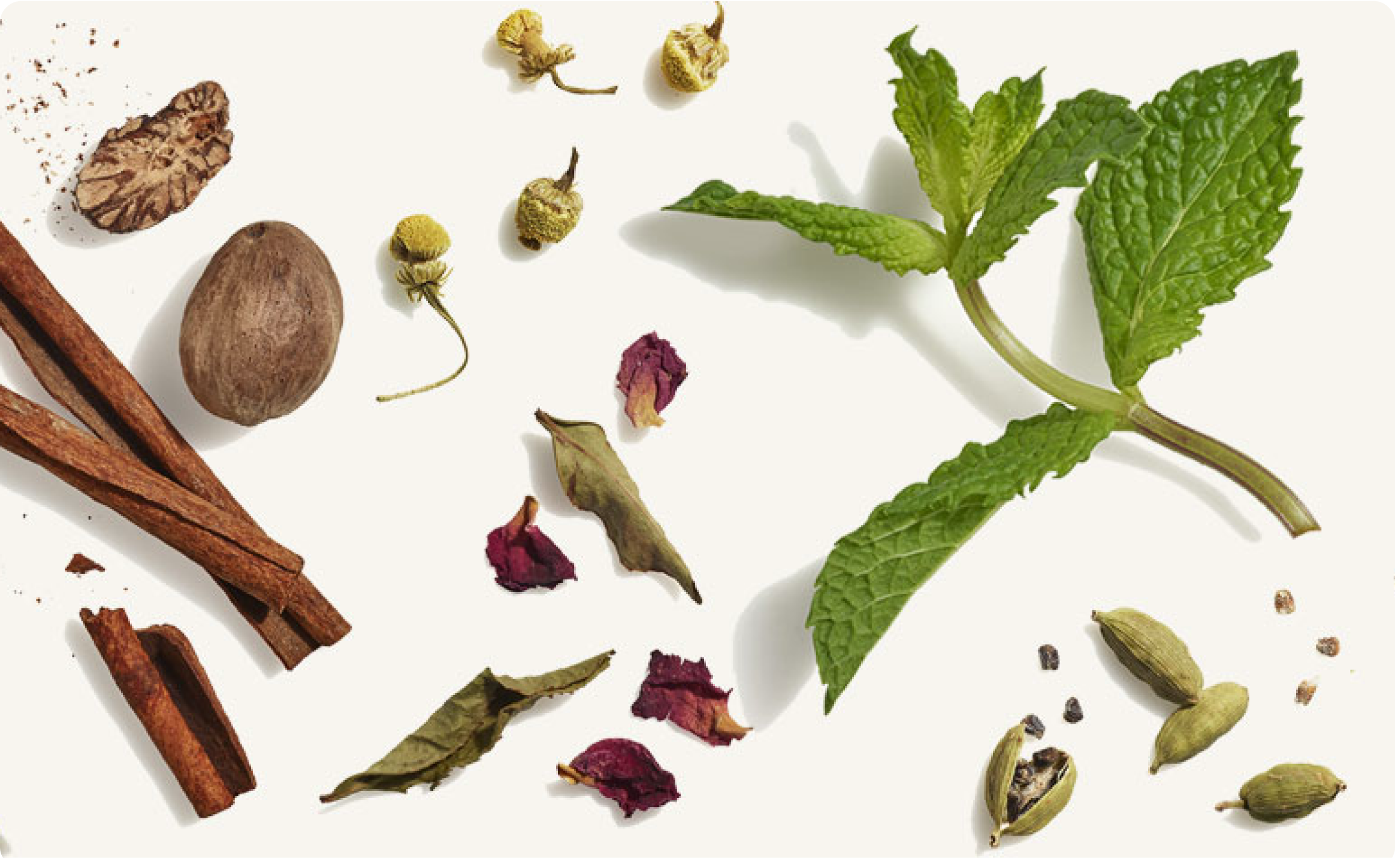 Image_4.png