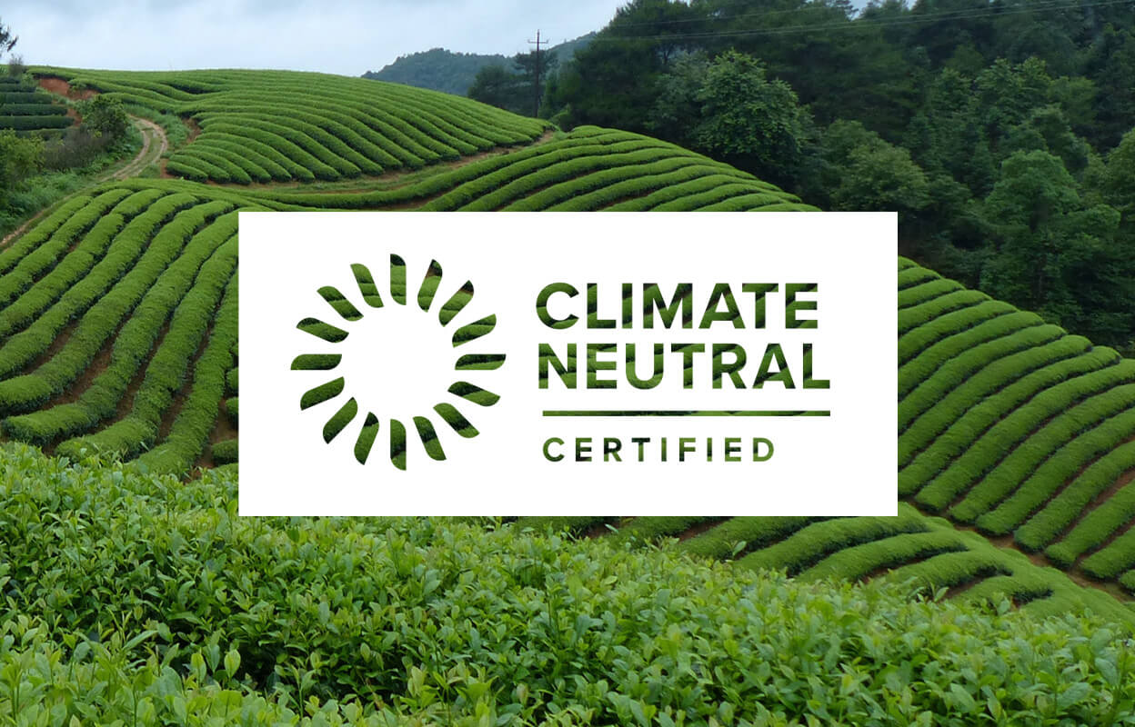 Photo of a tea field with the Climate Neutral Certified logo