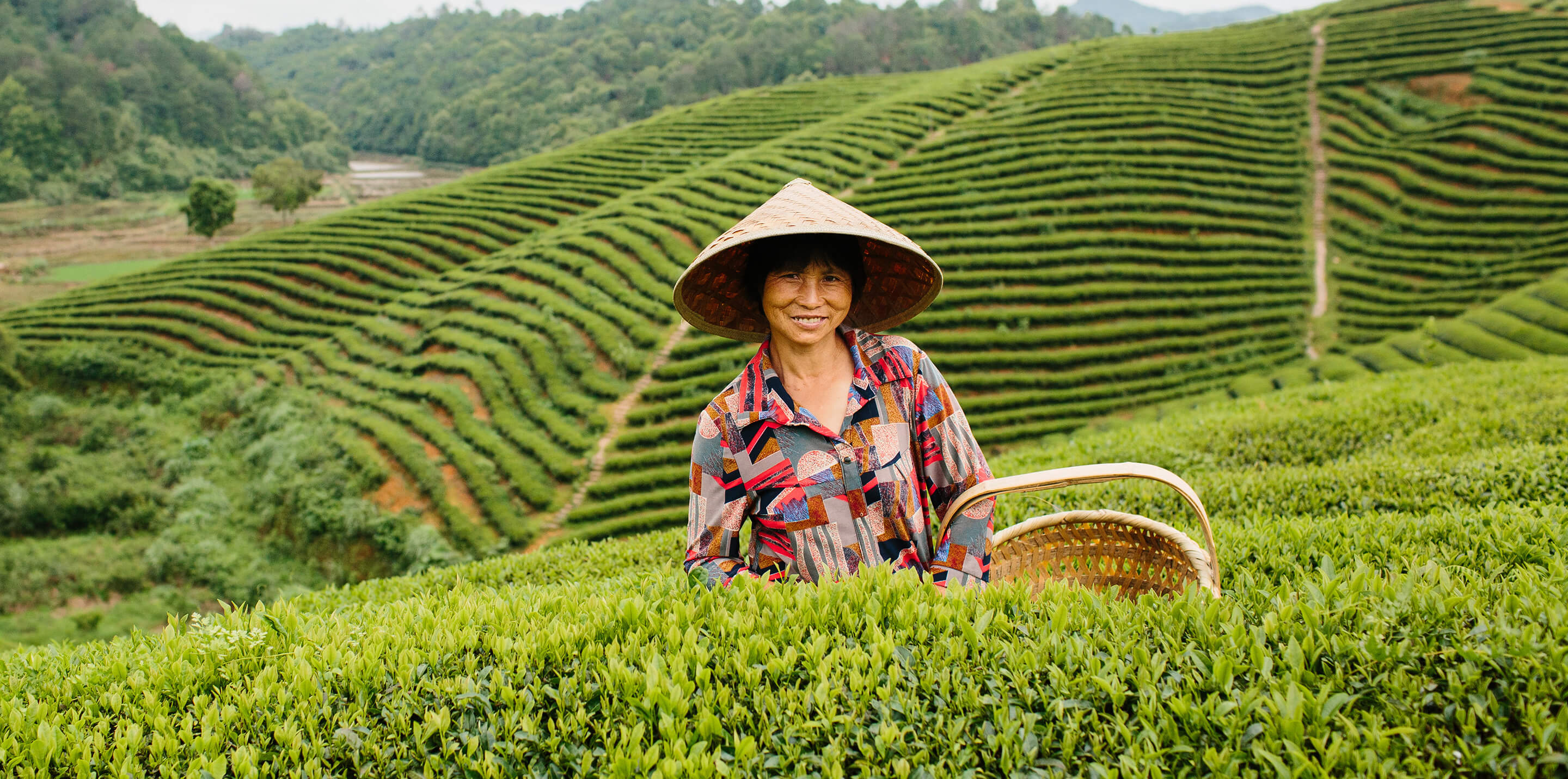 fair-trade-teas-worker-header.jpg