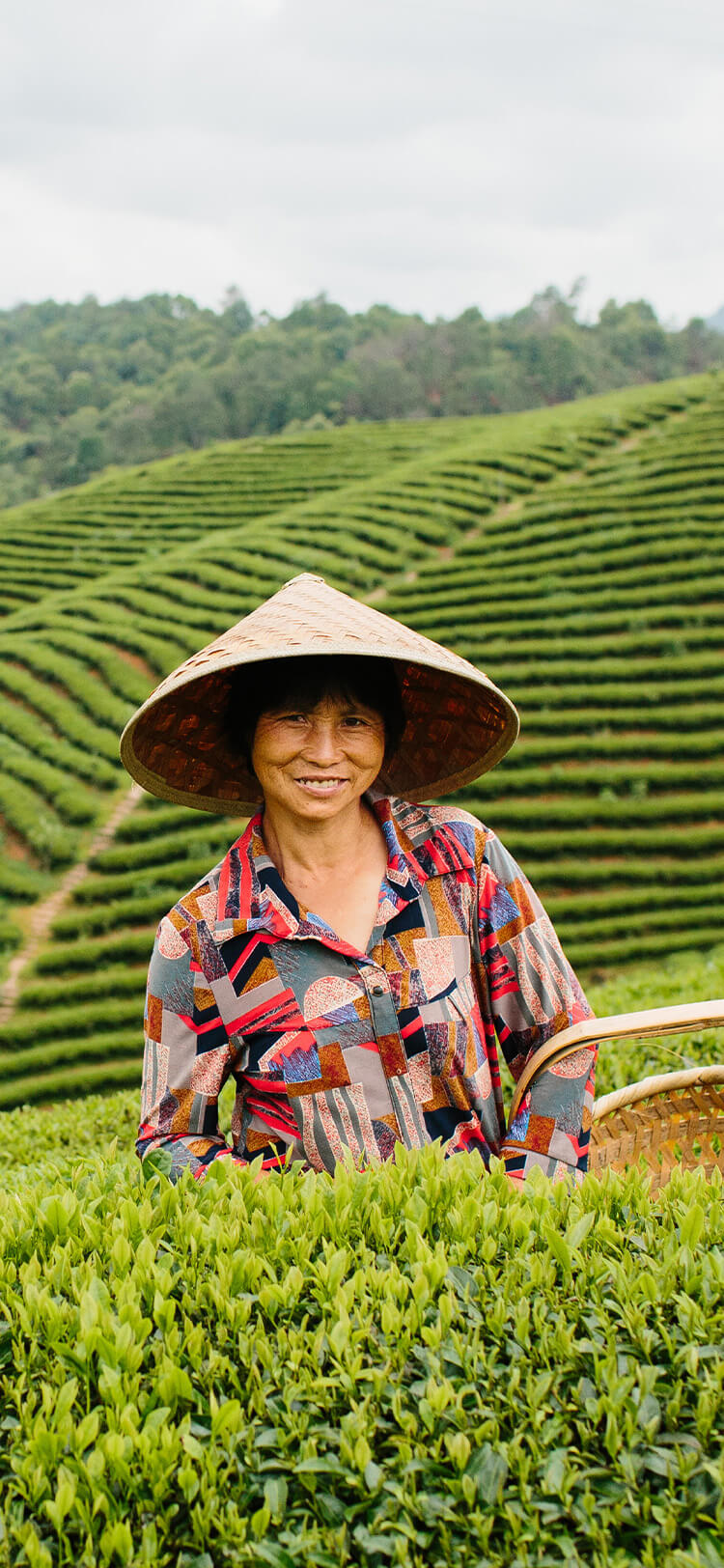 fair-trade-teas-worker-mobile.jpg