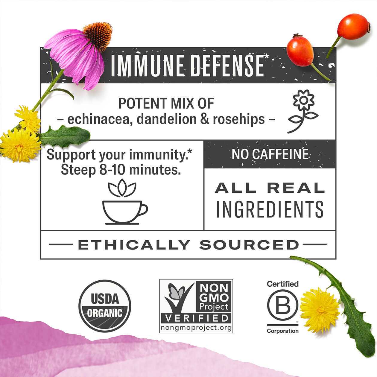 Infographic about Immune Boost: steep 8-10 minutes, caffeine free, all real ingredients, ethically sourced