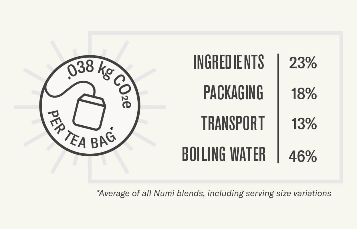 Infographic depicting the carbon footprint of a tea bag