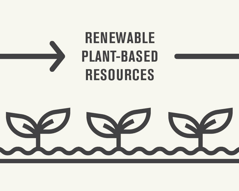 Infographic of plants growing indicating renewable plant-based resources